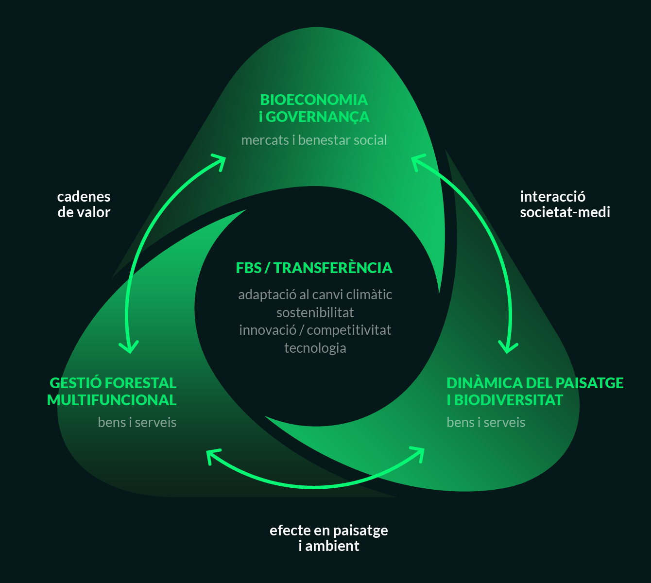 programes de treball