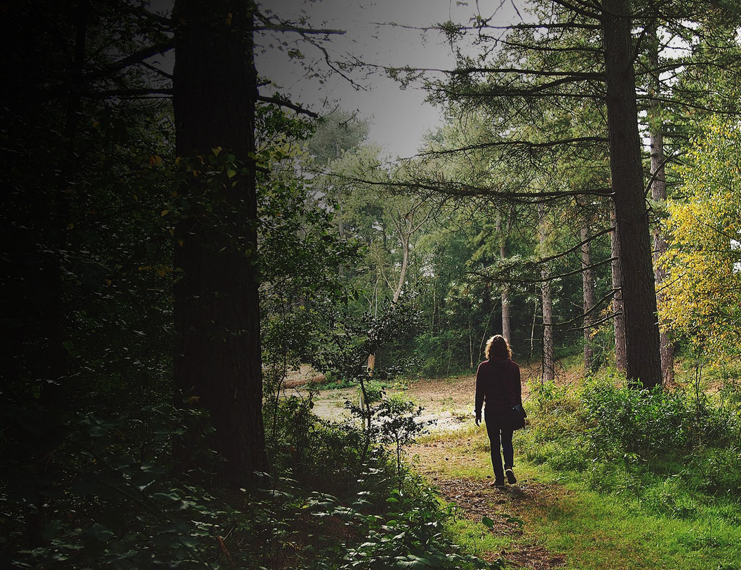 FOREST4HEALTH 